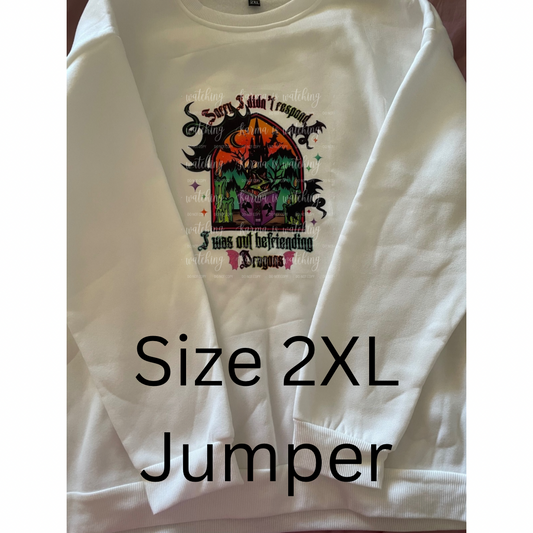 EOYS - Befriending Dragons Jumper 2XL
